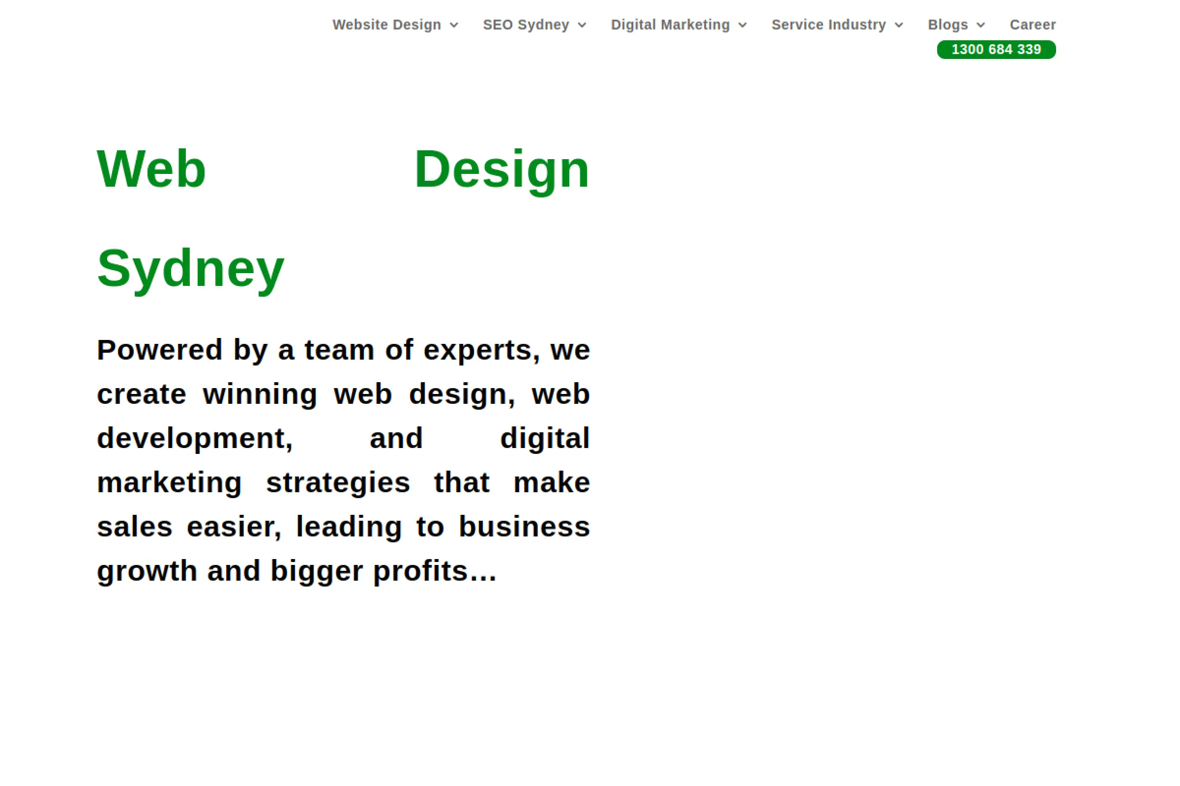 1.Sydney Website Design Agency