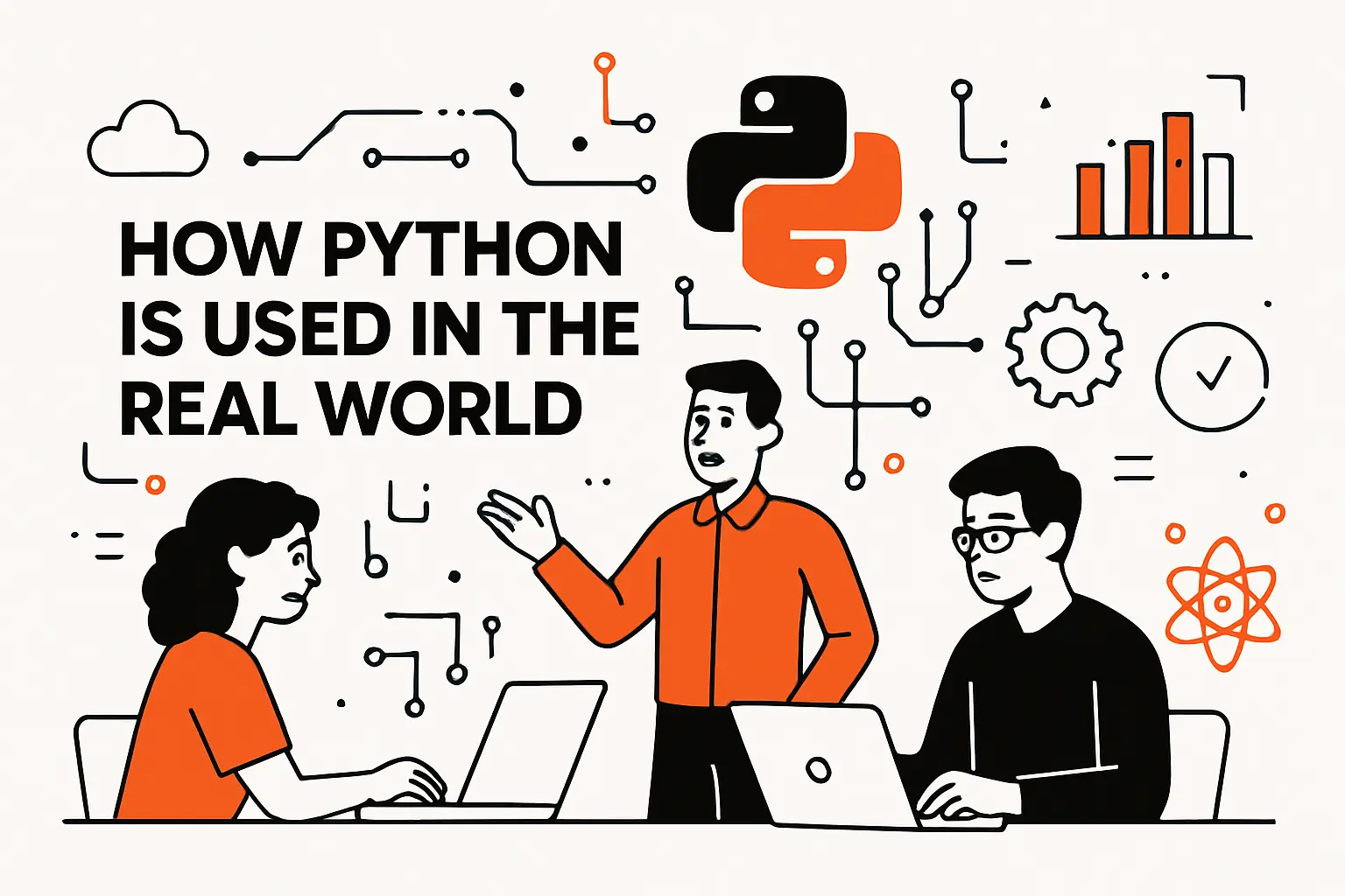 How Python is used in the real world