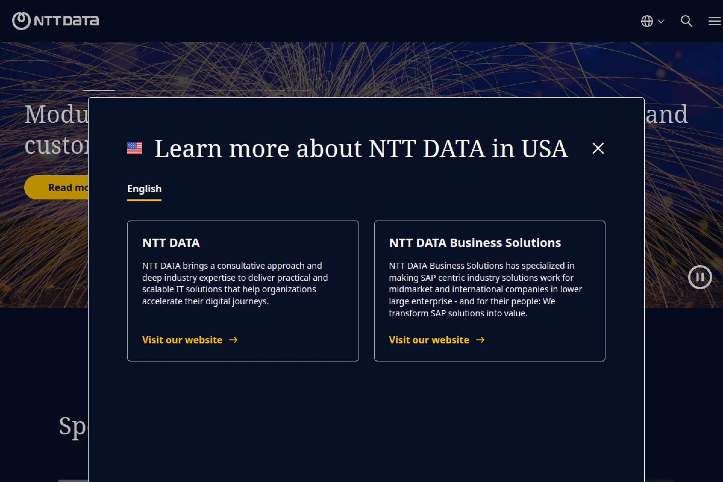 9. NTT Data