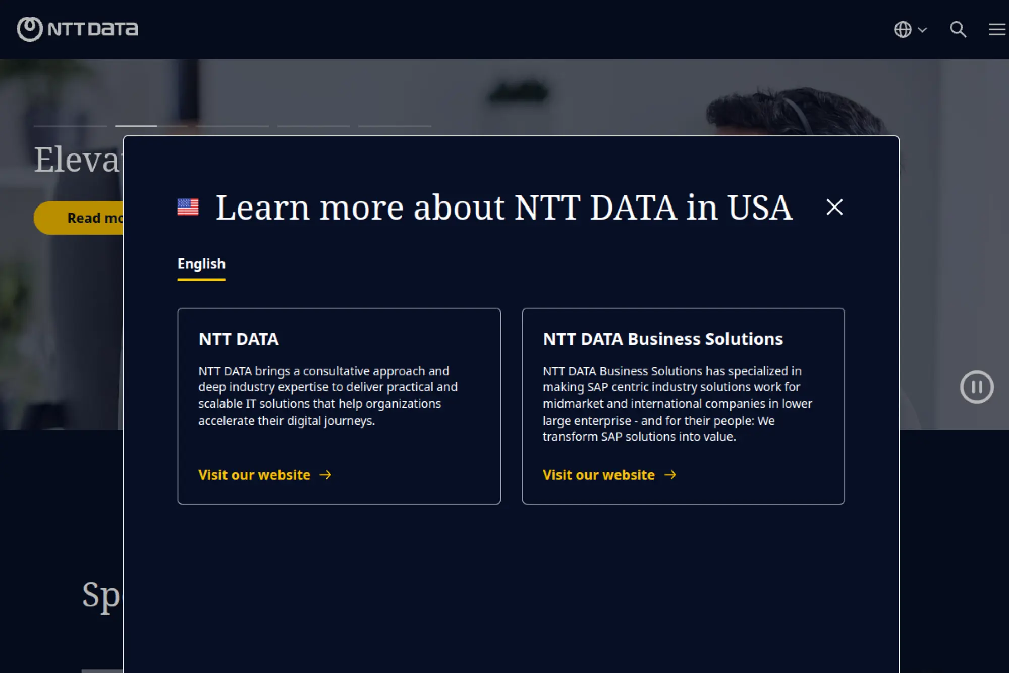 8. NTT DATA