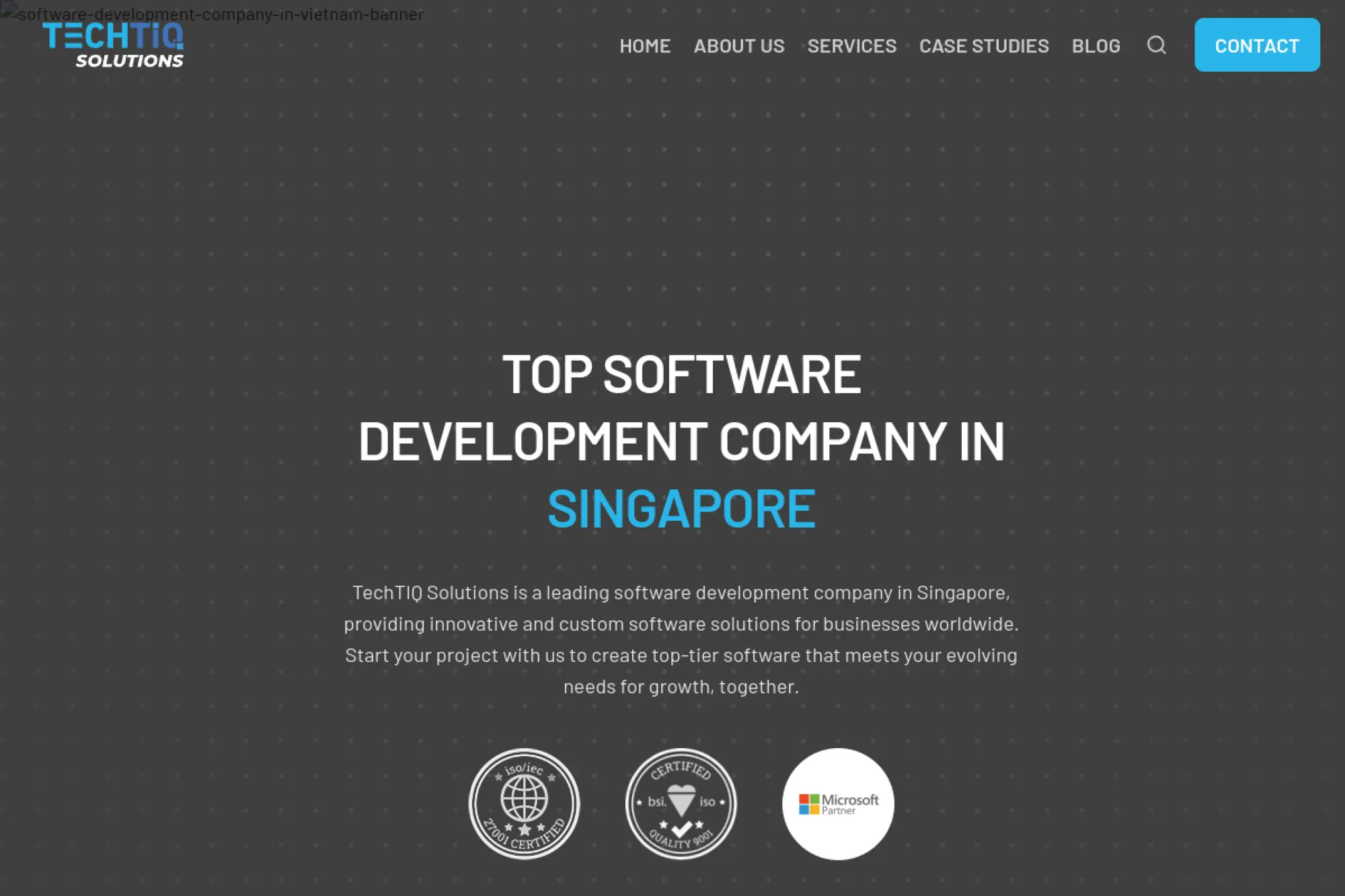 22. TechTIQ Solutions