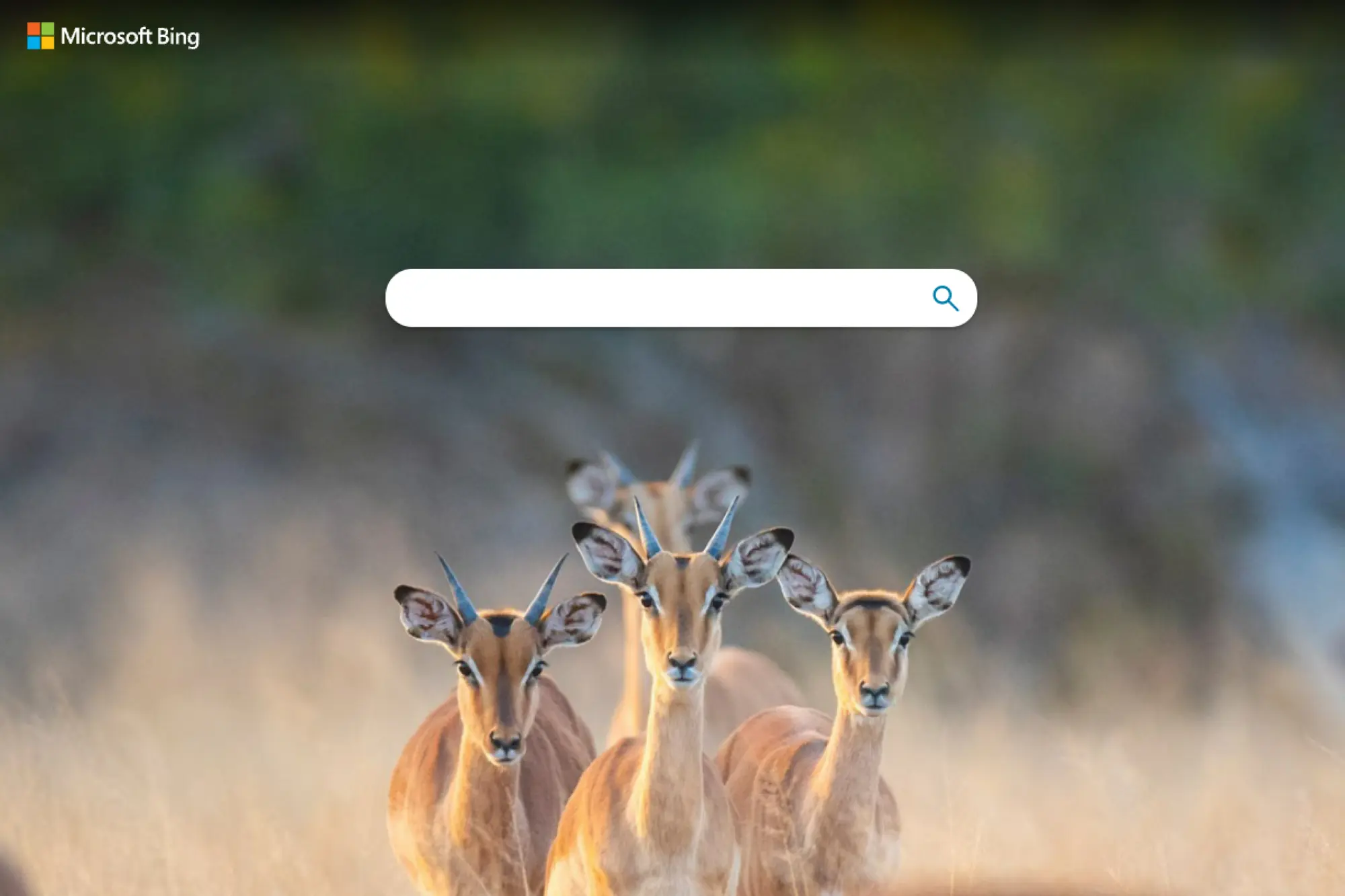 27. Bing Image Creator