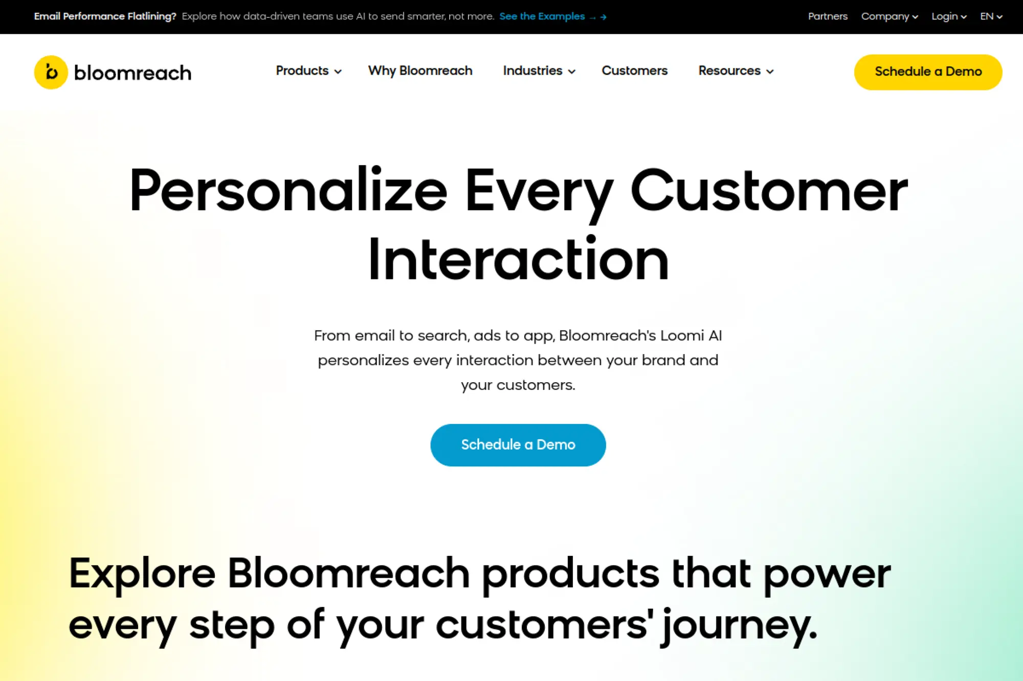 9. Bloomreach Engagement