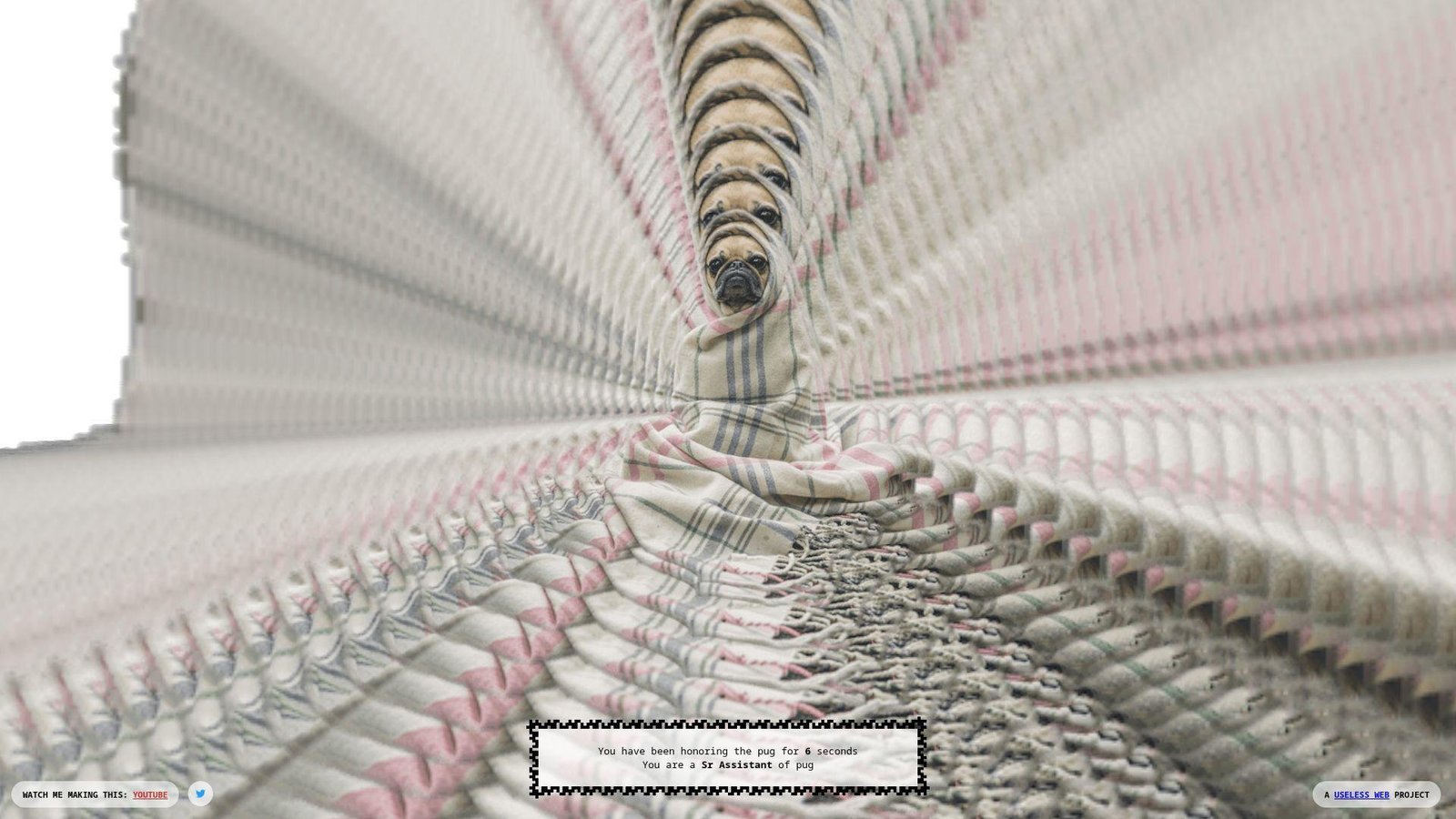 17. The Pug In A Rug