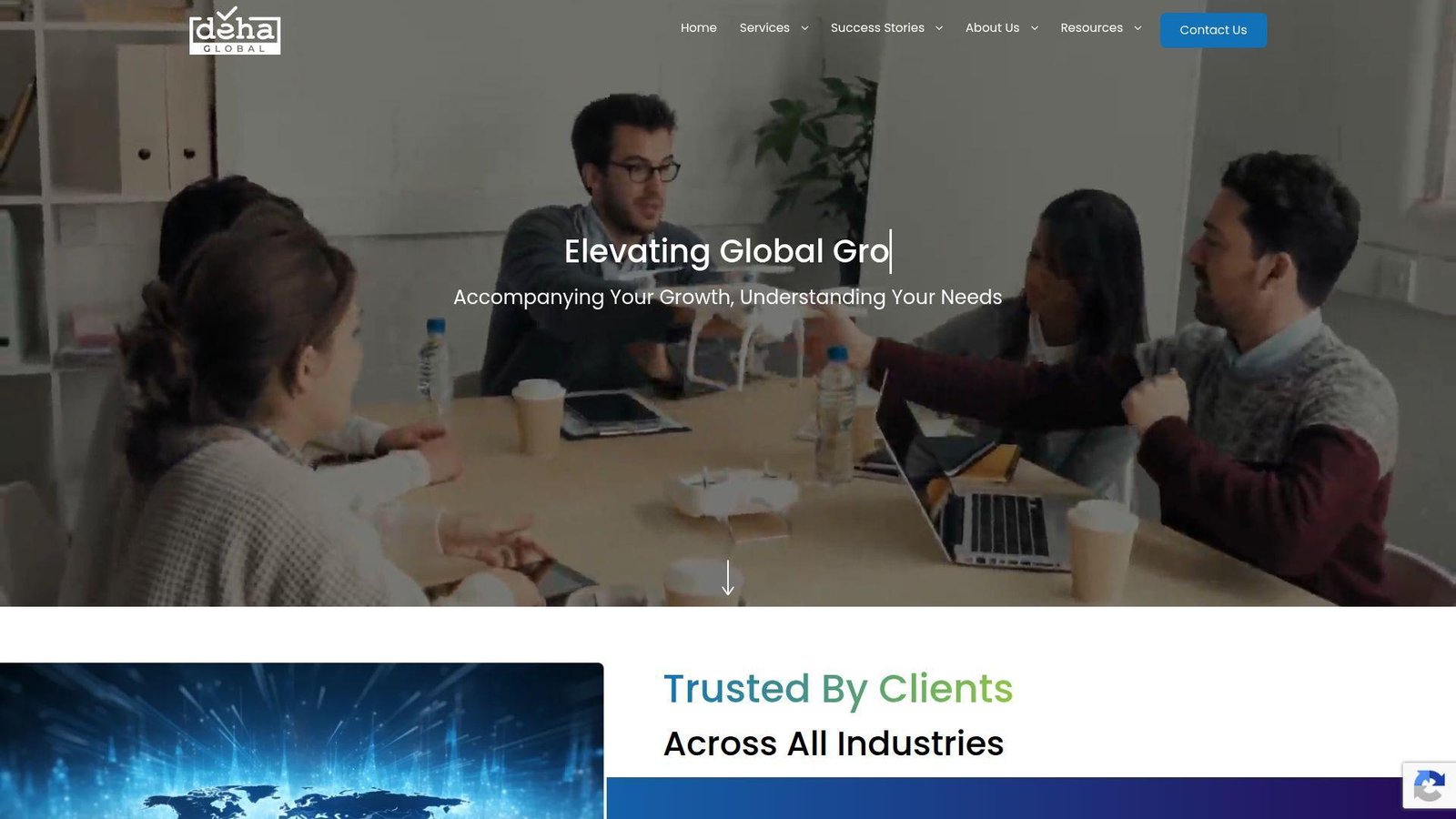 12. DEHA Global