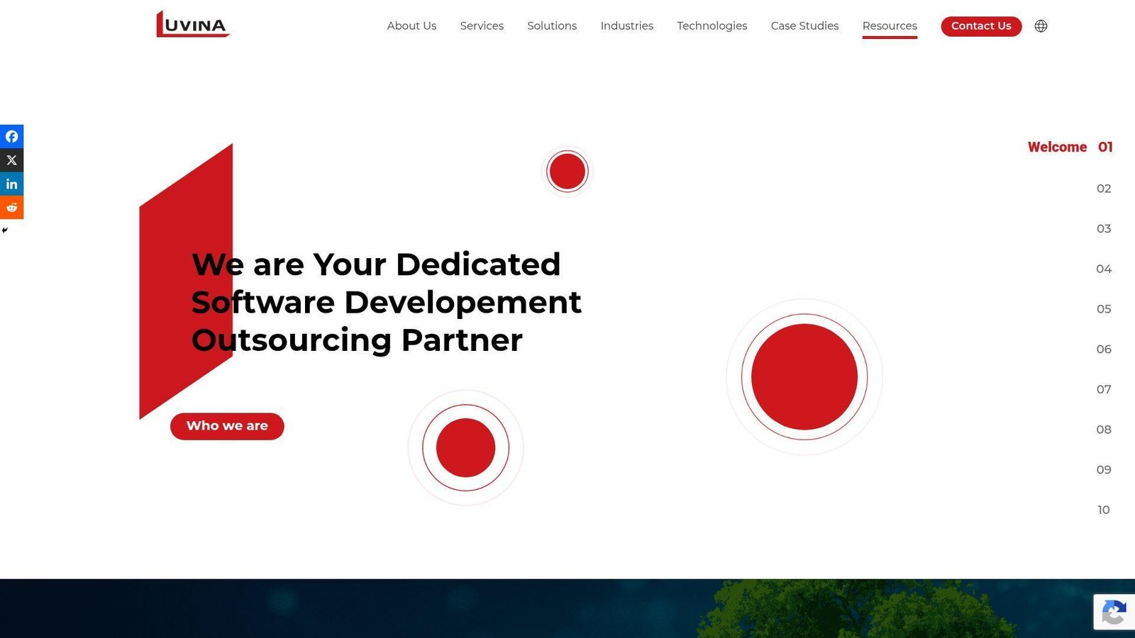19. Luvina Software