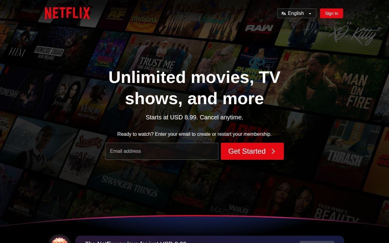 12. Netflix