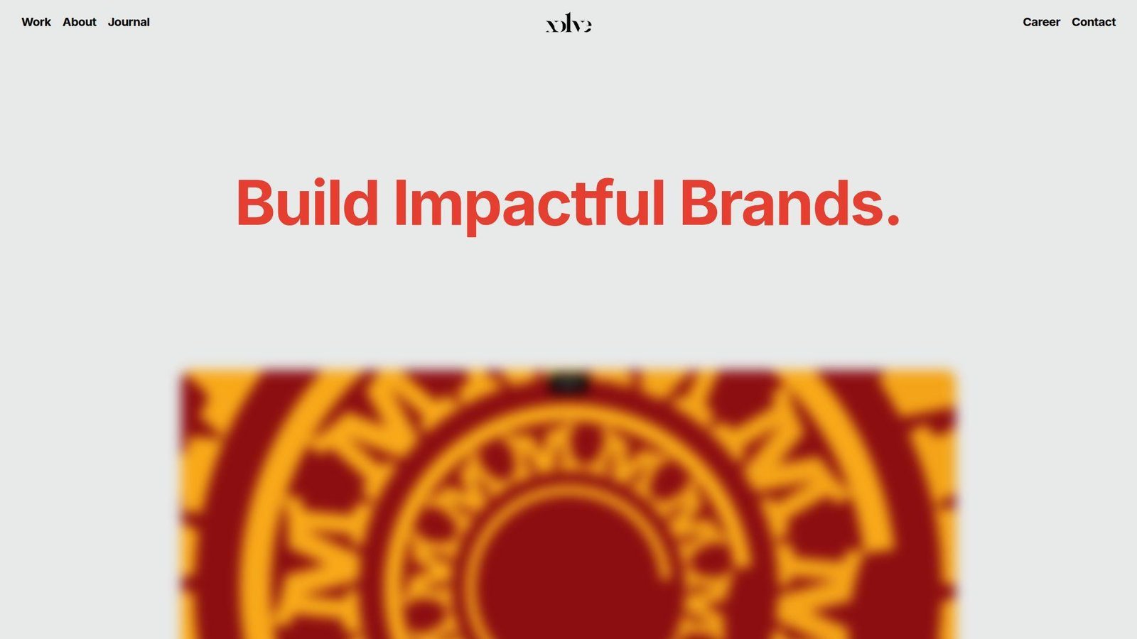 20. Xolve Branding